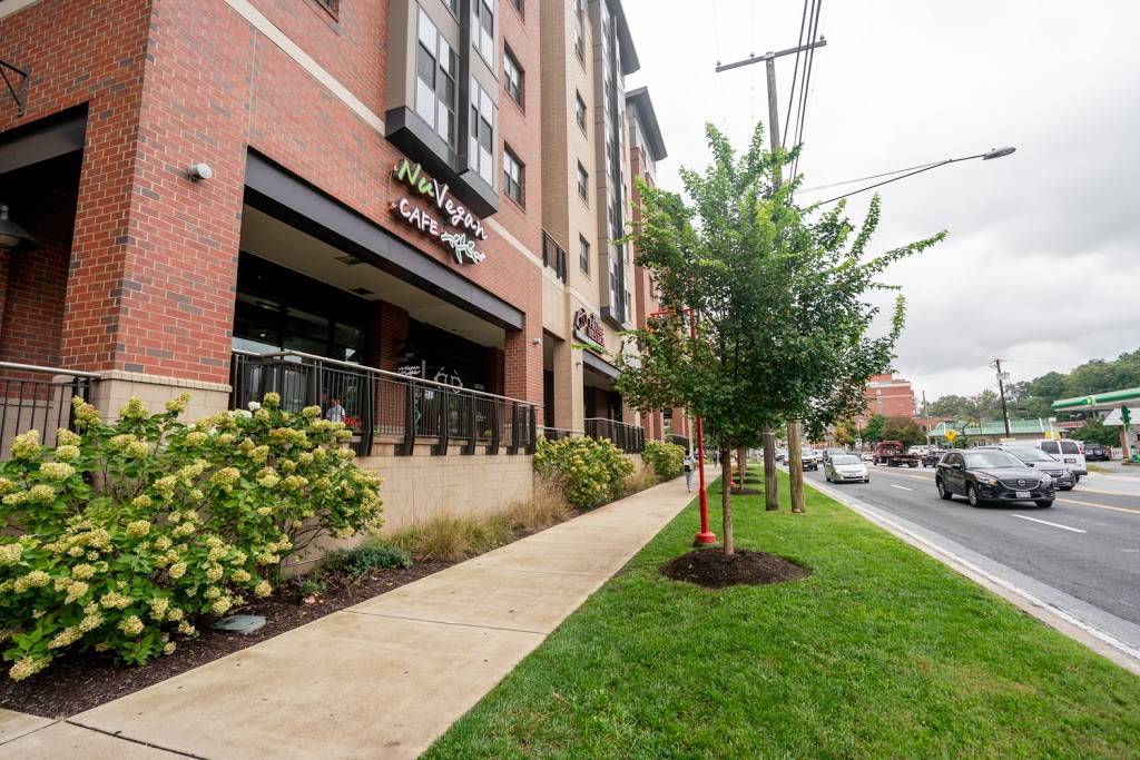 NuVegan Cafe - College Park | restaurant | 8150 Baltimore Ave, College Park, MD 20740, USA | 2405537625 OR +1 240-553-7625