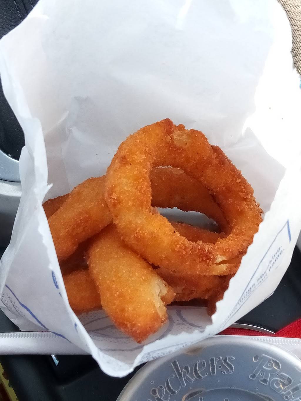 Checkers | restaurant | 2508 Citrus Blvd, Leesburg, FL 34748, USA | 3527281333 OR +1 352-728-1333