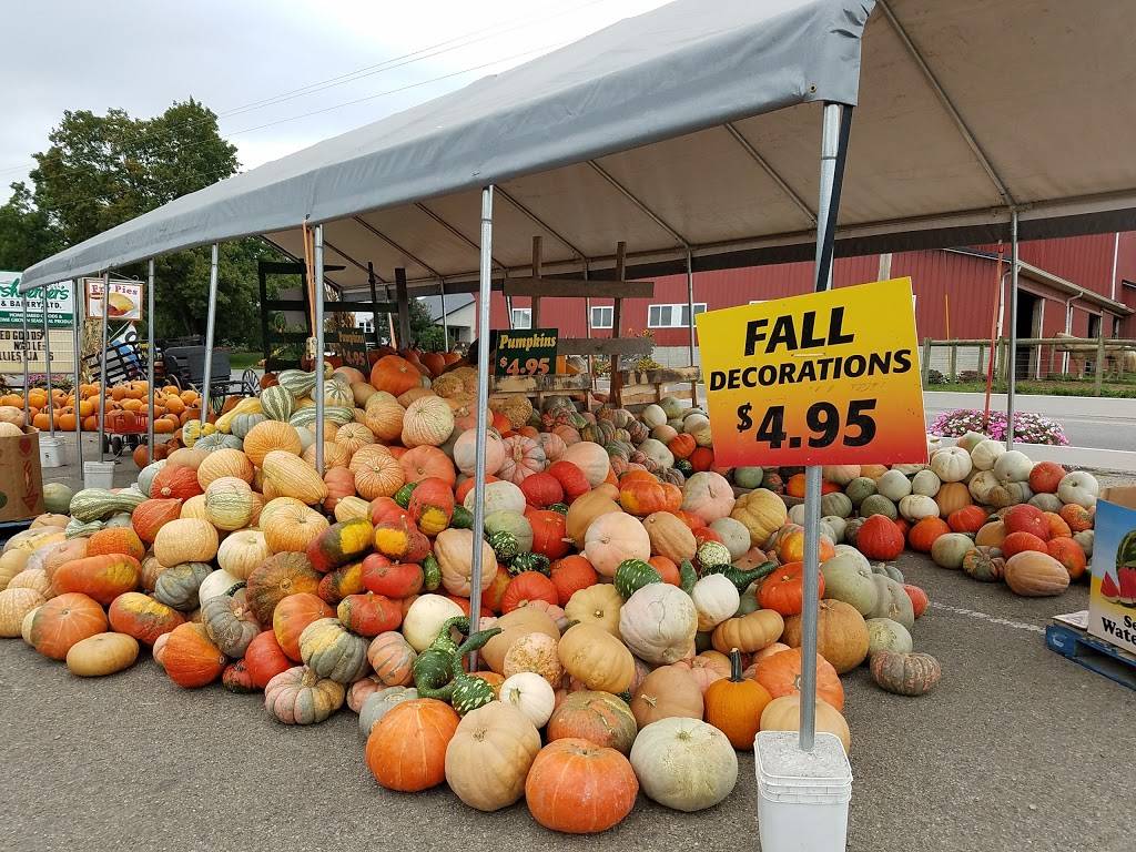 Hershbergers Farm and Bakery | bakery | 5452 OH-557, Millersburg, OH 44654, USA | 3306746096 OR +1 330-674-6096