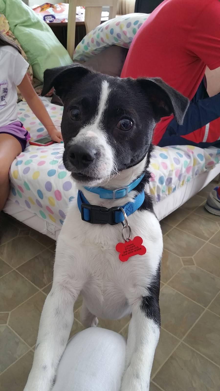 Gauthreauxs Gourmet Cuisine | restaurant | Harahan, LA 70123, USA | 5047399539 OR +1 504-739-9539