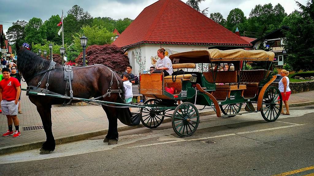 Rib Country BBQ (Helen, GA) | restaurant | 11 River St, Helen, GA 30545, USA | 7068788008 OR +1 706-878-8008
