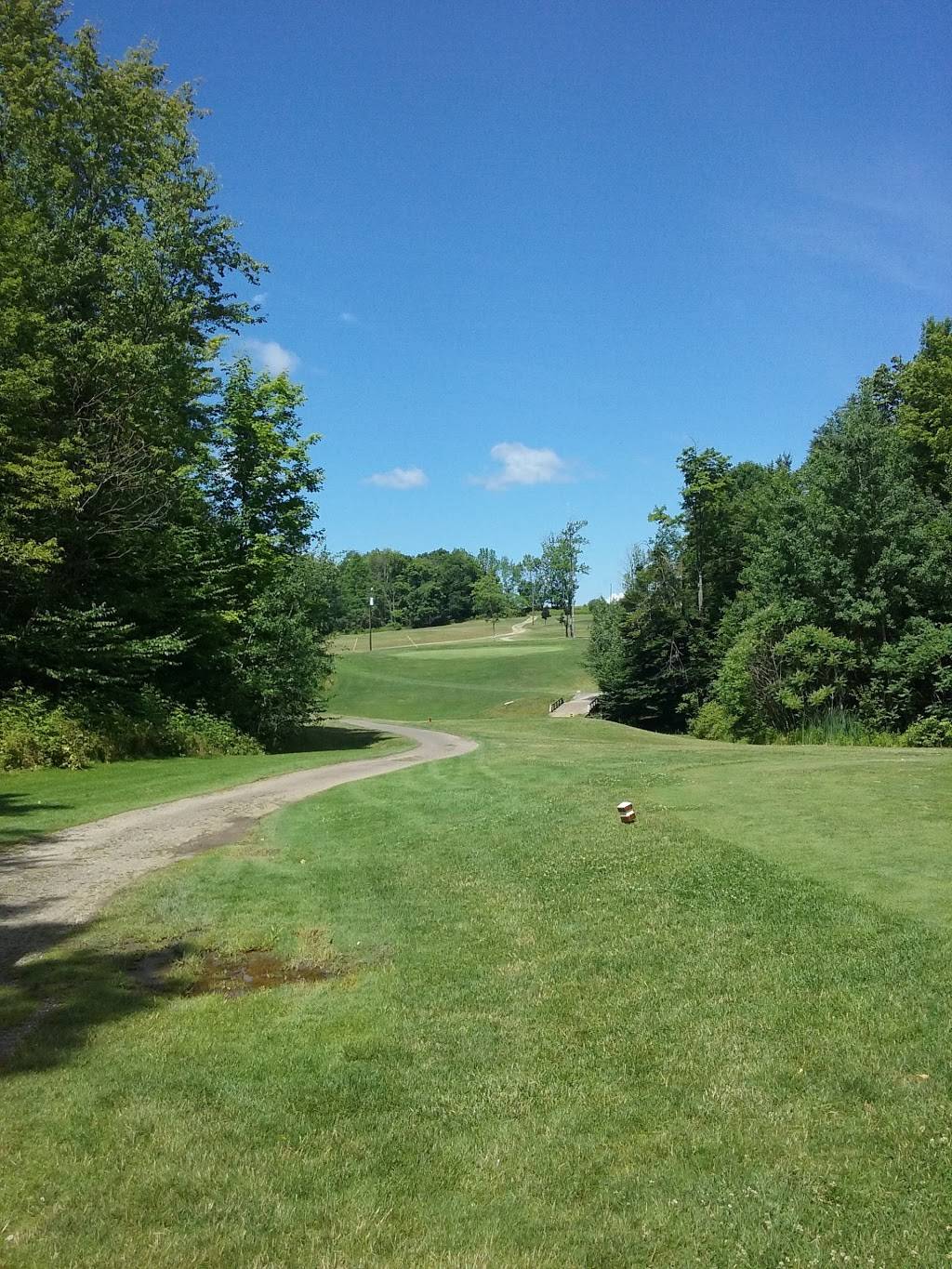 Mound Grove Golf Course | restaurant | 10760 Donation Rd, Waterford, PA 16441, USA | 8147962767 OR +1 814-796-2767