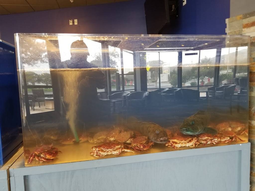 Pillar Point Fish House | restaurant | 260 Capistrano Rd, Half Moon Bay, CA 94019, USA | 6505600268 OR +1 650-560-0268