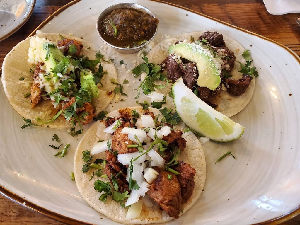 El Jefe Tequilas Taco Cantina | restaurant | 3227 Margaritaville Blvd, Kissimmee, FL 34747, USA | 3126560249 OR +1 312-656-0249