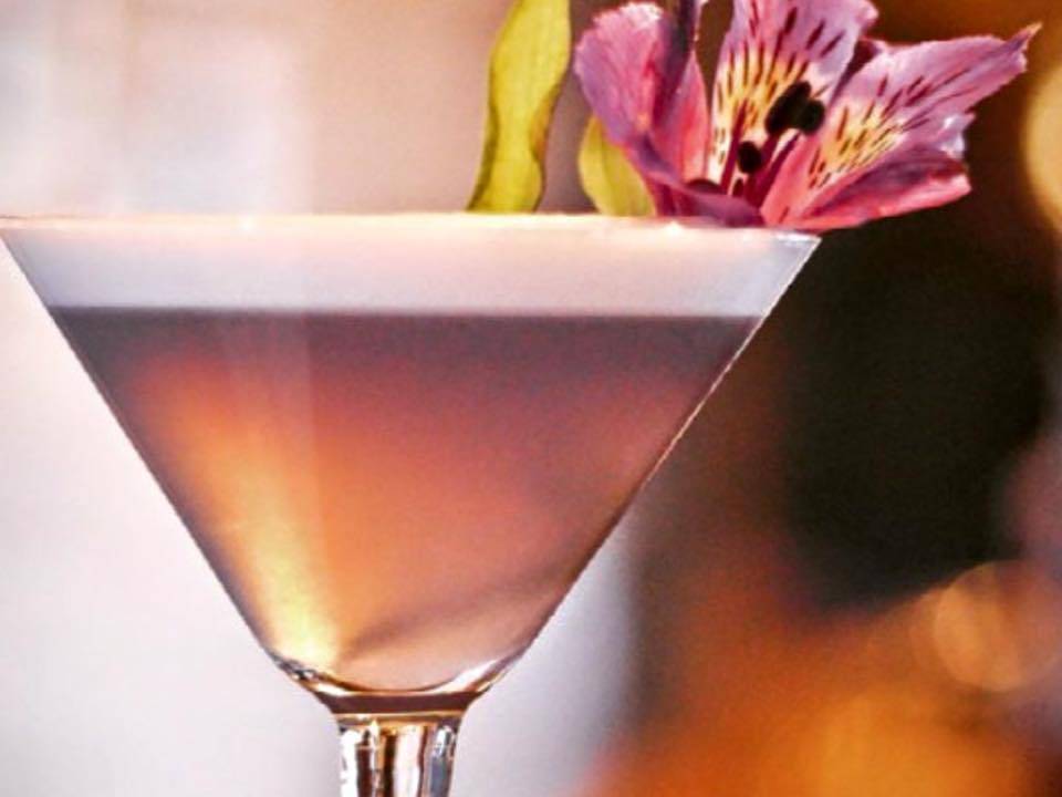 Salvino Cucina Italiana | restaurant | 2917 -D Battleground Ave, Greensboro, NC 27408, USA | 3365408663 OR +1 336-540-8663