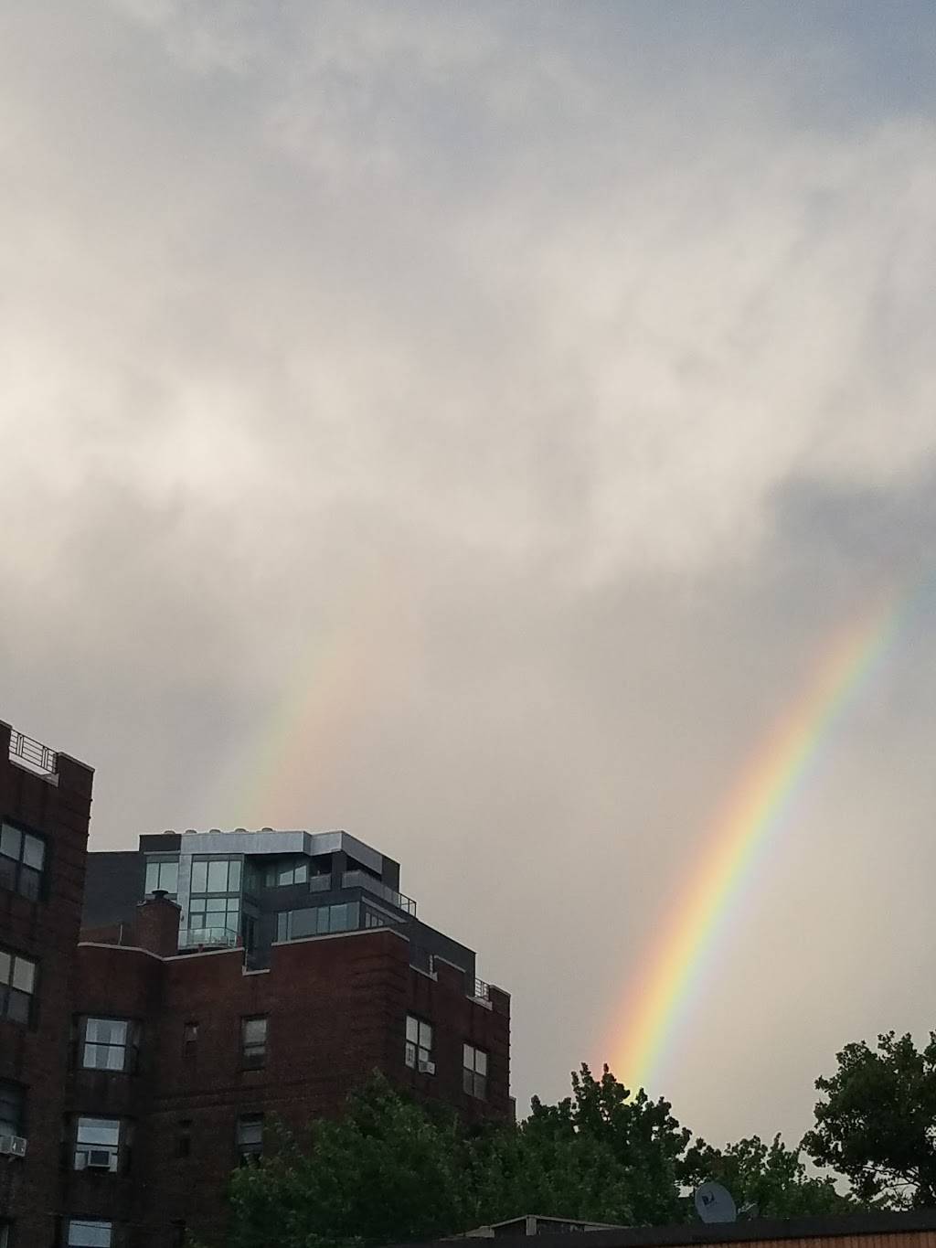 Moon Star Grill | restaurant | 3519-25 Johnson Ave, Bronx, NY 10463, USA | 7184322570 OR +1 718-432-2570