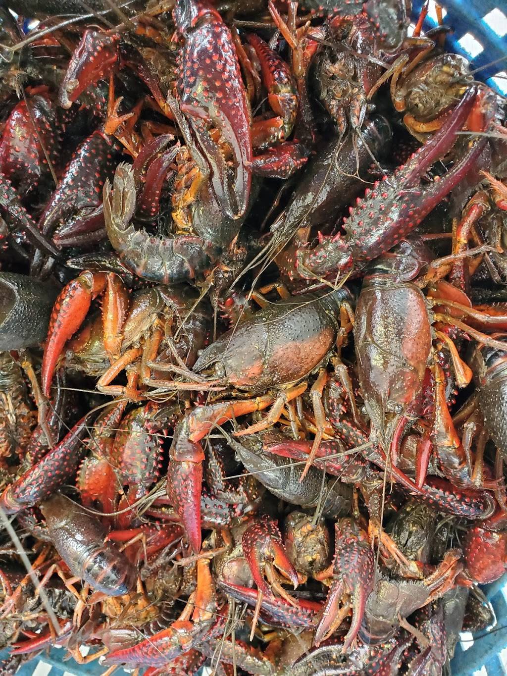 Wades Seafood Shack | restaurant | Westwego, LA 70094, USA | 5043412222 OR +1 504-341-2222