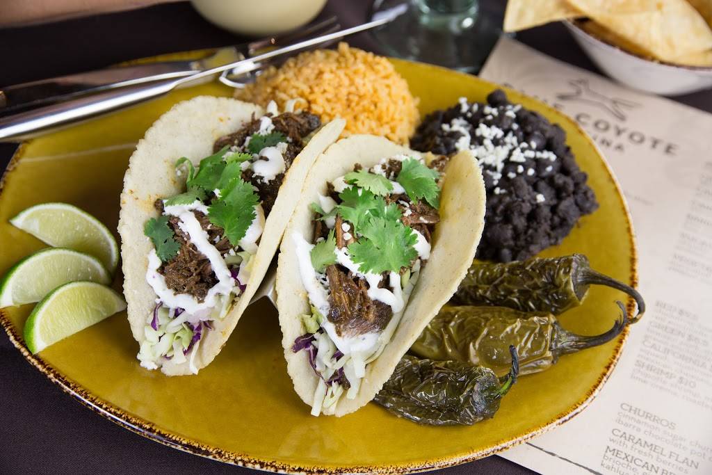 Blue Coyote Cantina | restaurant | 9800 East Talking Stick Way, Scottsdale, AZ 85256, USA | 4808507777 OR +1 480-850-7777