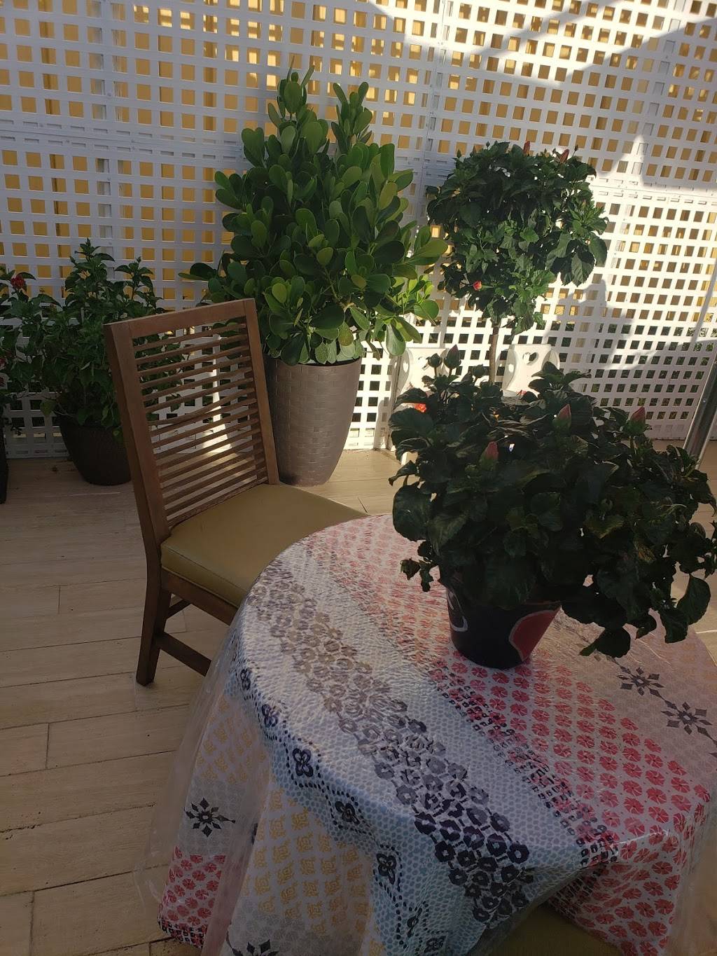 Pitaluv | restaurant | 5447 Spring Hill Dr, Spring Hill, FL 34606, USA | 3526109113 OR +1 352-610-9113