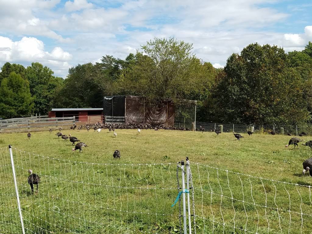 Fields of Athenry Farm & Side Saddle Bistro | restaurant | 7 W Washington St, Middleburg, VA 20117, USA | 7033005765 OR +1 703-300-5765