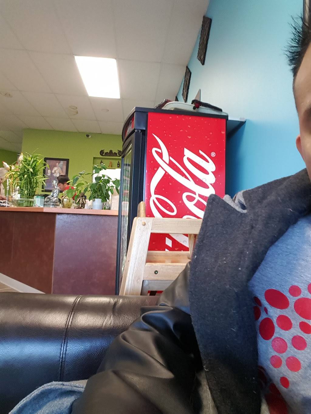 Thai Flavor | restaurant | Plaza West LLC,, 2245 W Columbia Ave #105, Battle Creek, MI 49015, USA | 2699693998 OR +1 269-969-3998