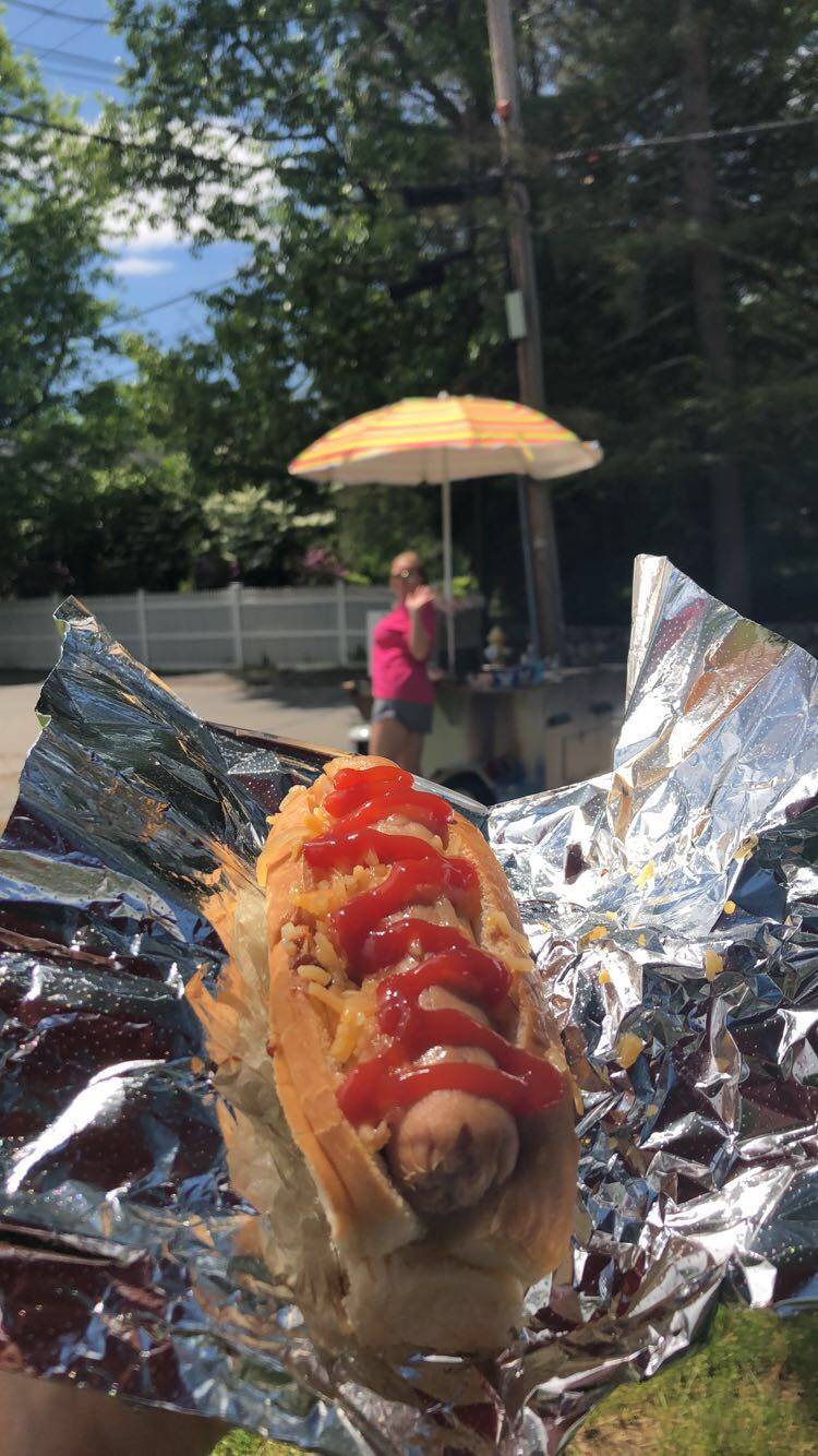 Pace Hot Dogs | meal takeaway | 1568, 56 Colpitts Rd, Weston, MA 02493, USA | 6175840106 OR +1 617-584-0106