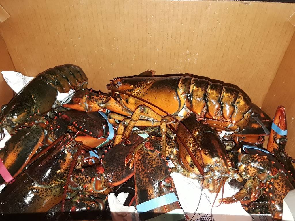 Red Lobster | restaurant | 13300 Biscayne Blvd, North Miami, FL 33181, USA | 3058956095 OR +1 305-895-6095