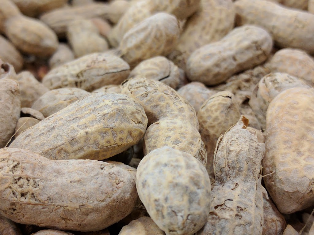 Five Guys | meal takeaway | 17 Poinciana Blvd, Miramar Beach, FL 32550, USA | 8504243471 OR +1 850-424-3471