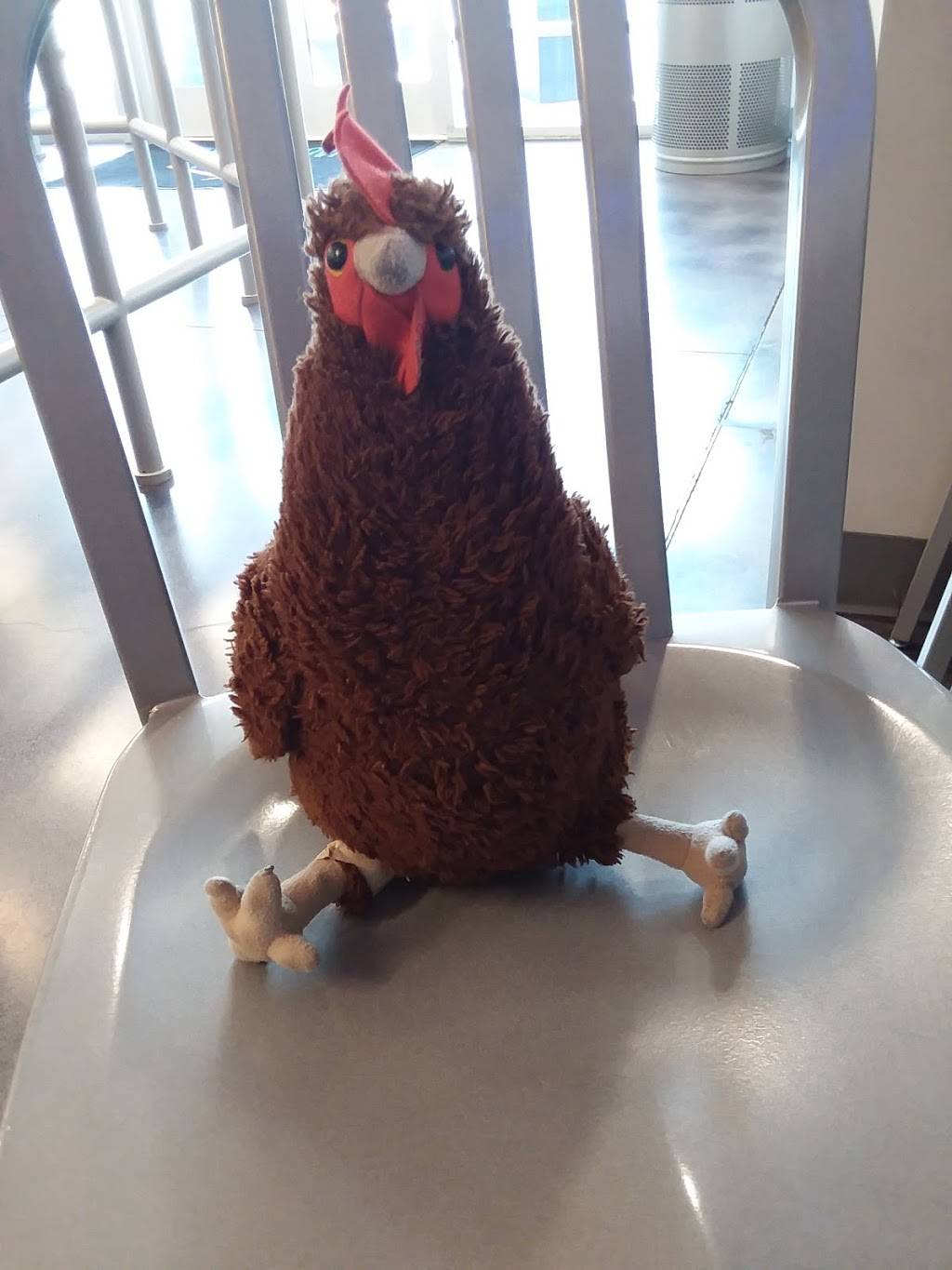 Haus Of Poké | restaurant | 42500 Bob Hope Dr, Rancho Mirage, CA 92270, USA | 7606361892 OR +1 760-636-1892