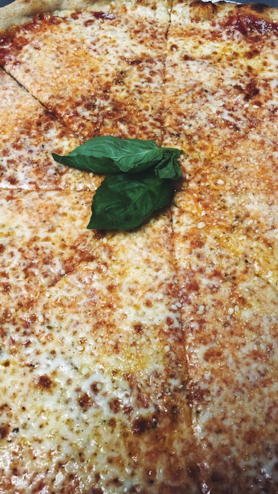 Della Terra Pizza | restaurant | 213 North St, Saco, ME 04072, USA | 2075719944 OR +1 207-571-9944