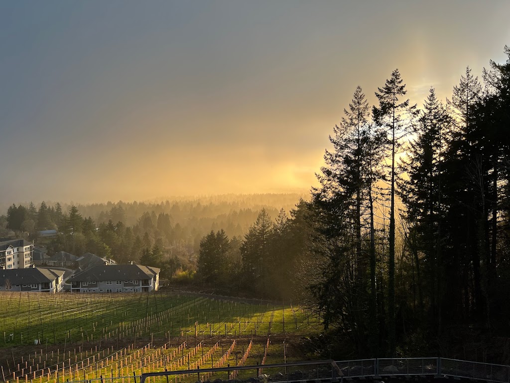 Amaterra Winery | restaurant | 8150 SW Swede Hill Dr, Portland, OR 97225, USA | 5039616057 OR +1 503-961-6057