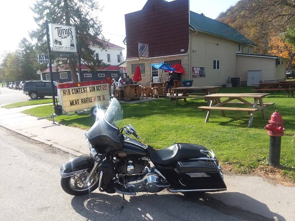 Tonys Saloon | restaurant | 1180 S Main St, Minneiska, MN 55910, USA | 5079324969 OR +1 507-932-4969