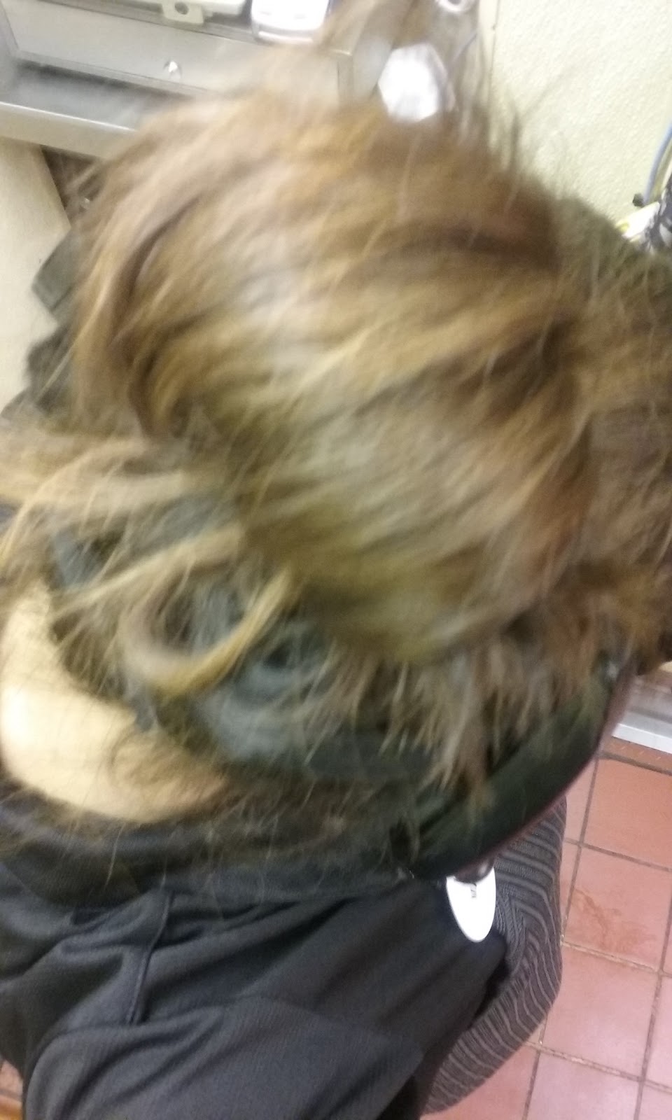 Wendys | restaurant | 3401 Fort Campbell Blvd, Clarksville, TN 37042, USA | 9314316909 OR +1 931-431-6909