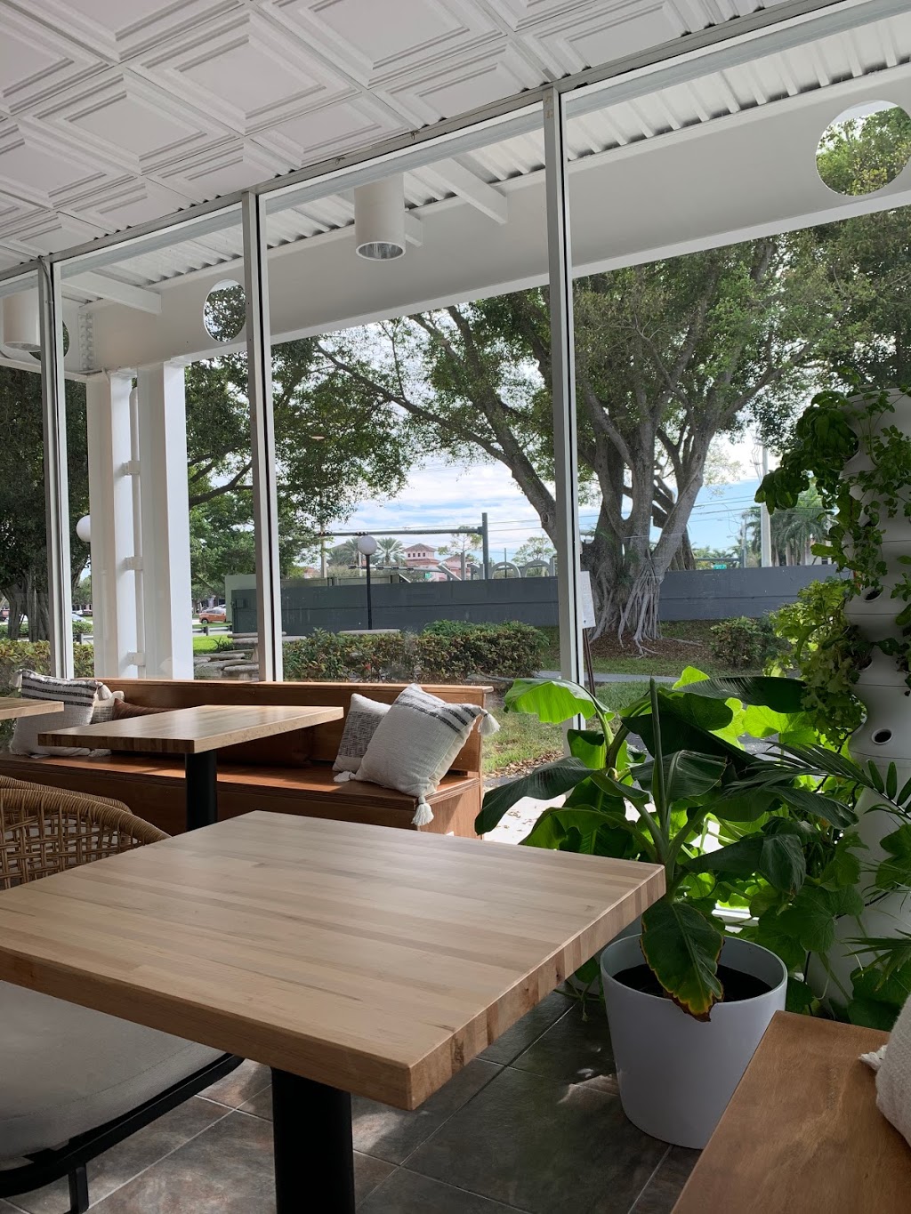 The Seed. Coffee + Goods | cafe | 1449 Yamato Rd Ste 1, Boca Raton, FL 33431, USA | 5619312912 OR +1 561-931-2912