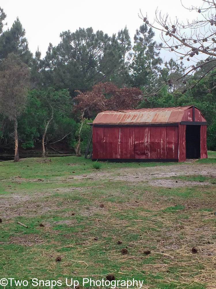 Fly In Breakfast | restaurant | 3000 W Osceola Rd, Geneva, FL 32732, USA | 4079475777 OR +1 407-947-5777