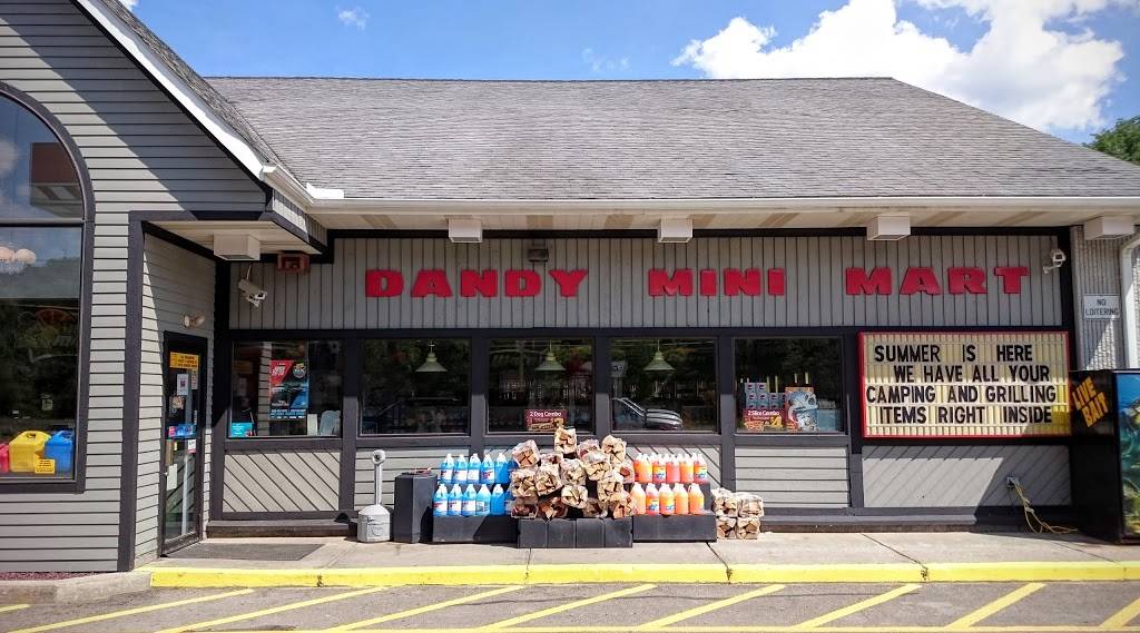 Dandy Mini Mart | meal takeaway | 7320 PA-328, Millerton, PA 16936, USA | 5705373050 OR +1 570-537-3050
