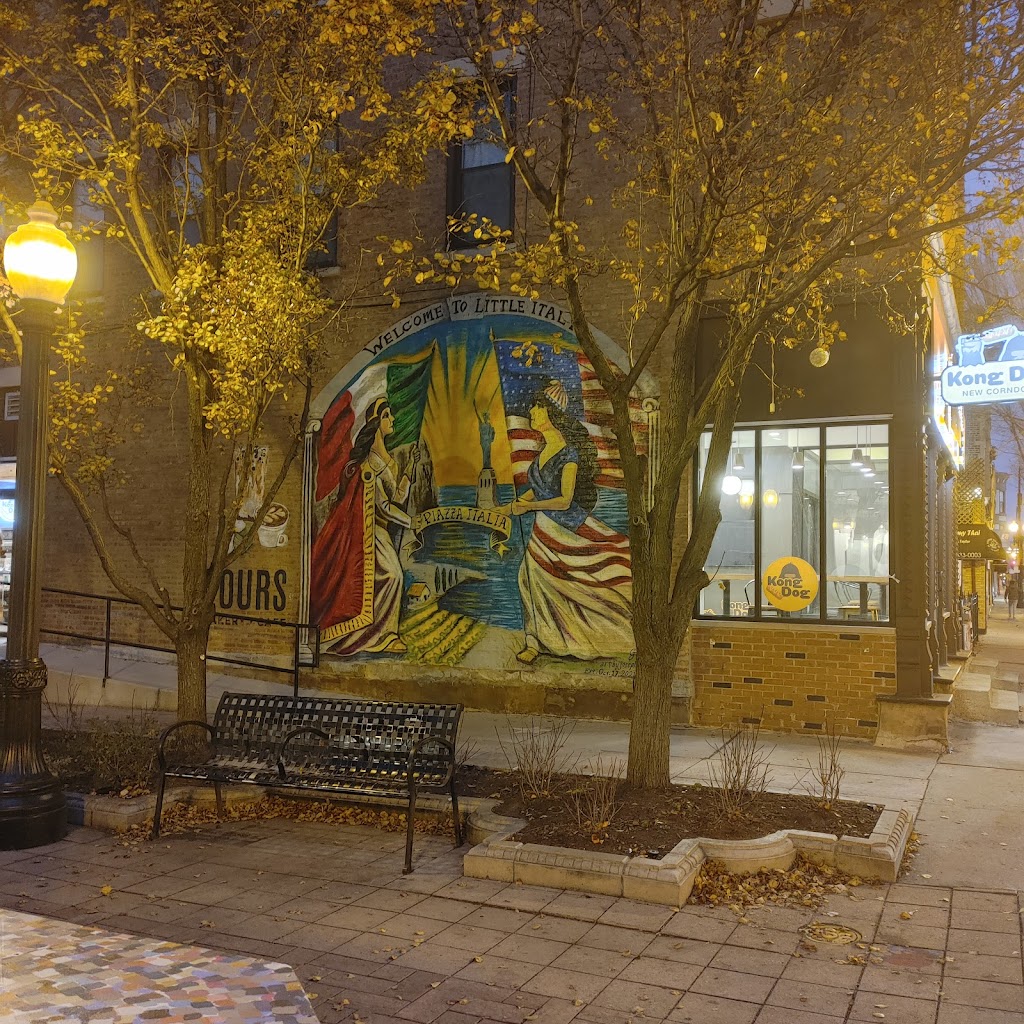 Kong Dog | restaurant | 1424 W Taylor St, Chicago, IL 60607, USA | 3122650958 OR +1 312-265-0958