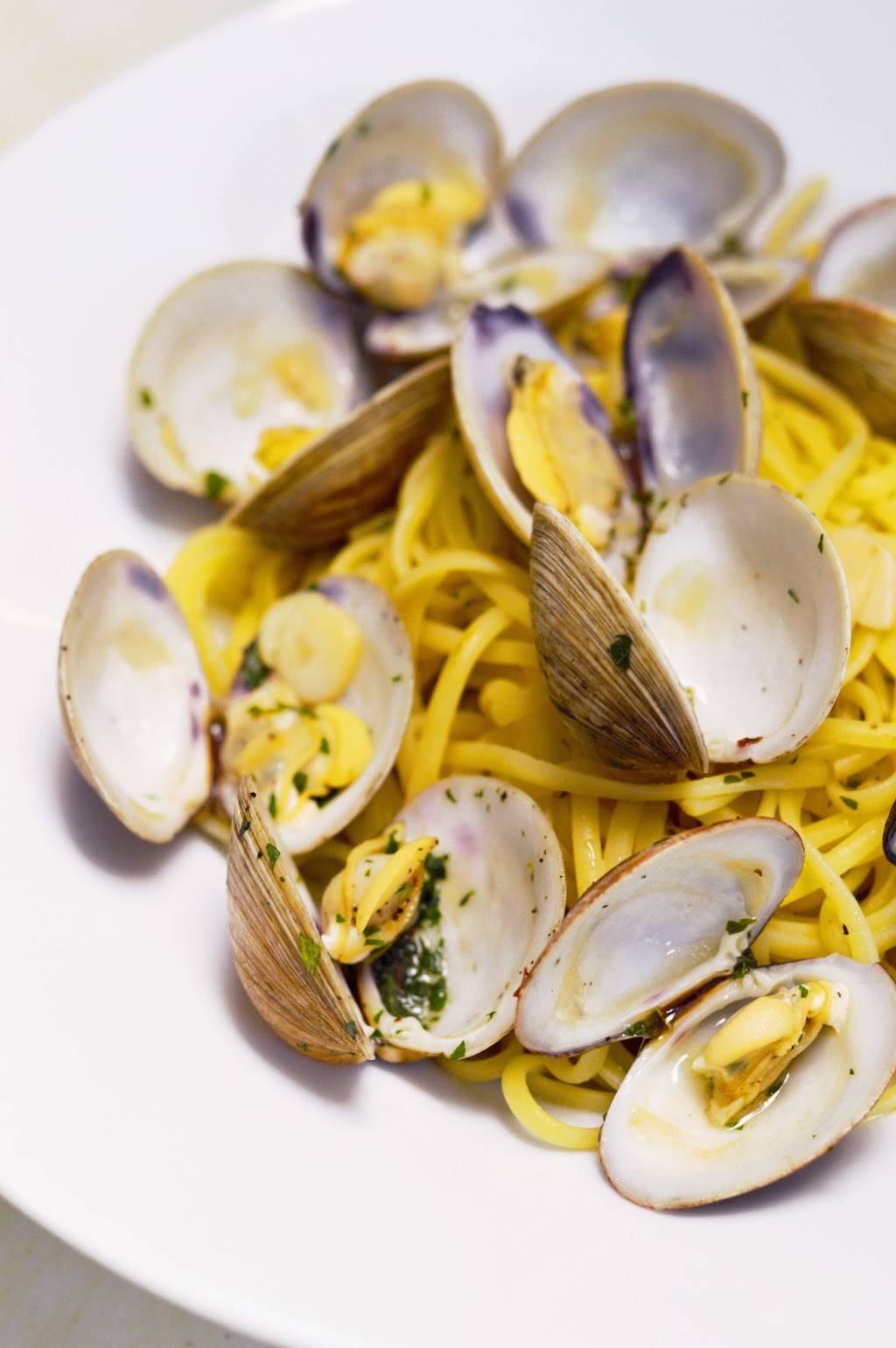 Trattoria Novello | restaurant | 2663 E Atlantic Blvd, Pompano Beach, FL 33062, USA | 9548761915 OR +1 954-876-1915