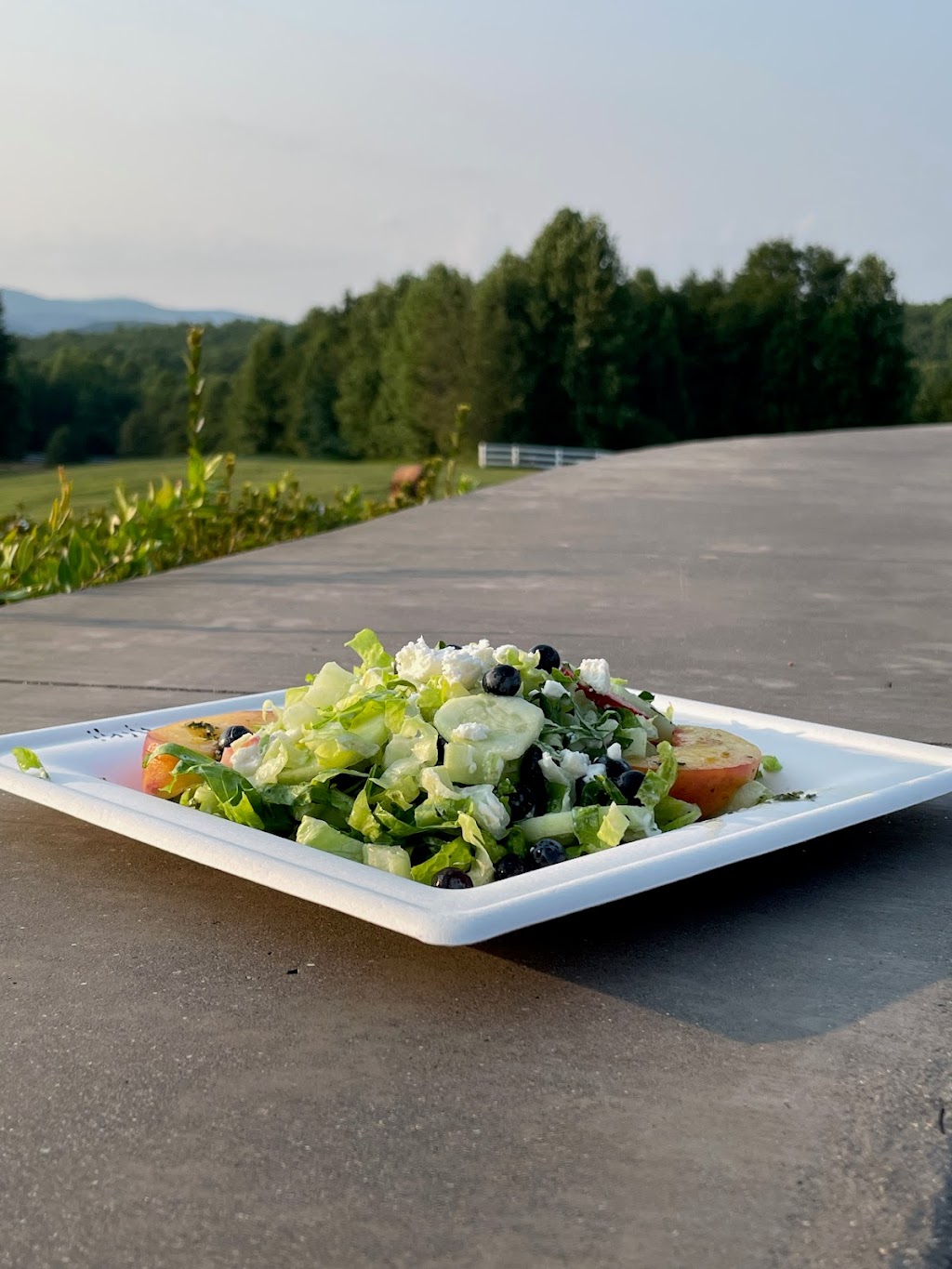 Red Horse Out | restaurant | 45 Winstons Chase Ct, Landrum, SC 29356, USA | 8644576805 OR +1 864-457-6805