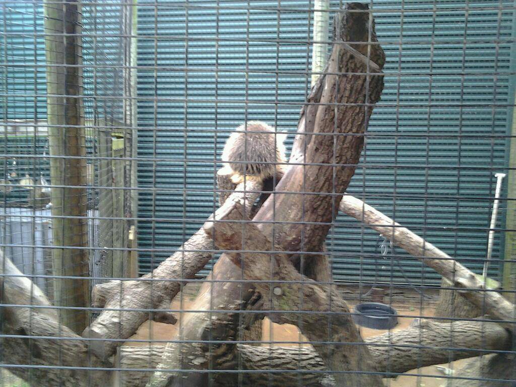 Monte Alban | restaurant | 3127, 960 S 1st St, San Jose, CA 95110, USA | 4083204950 OR +1 408-320-4950