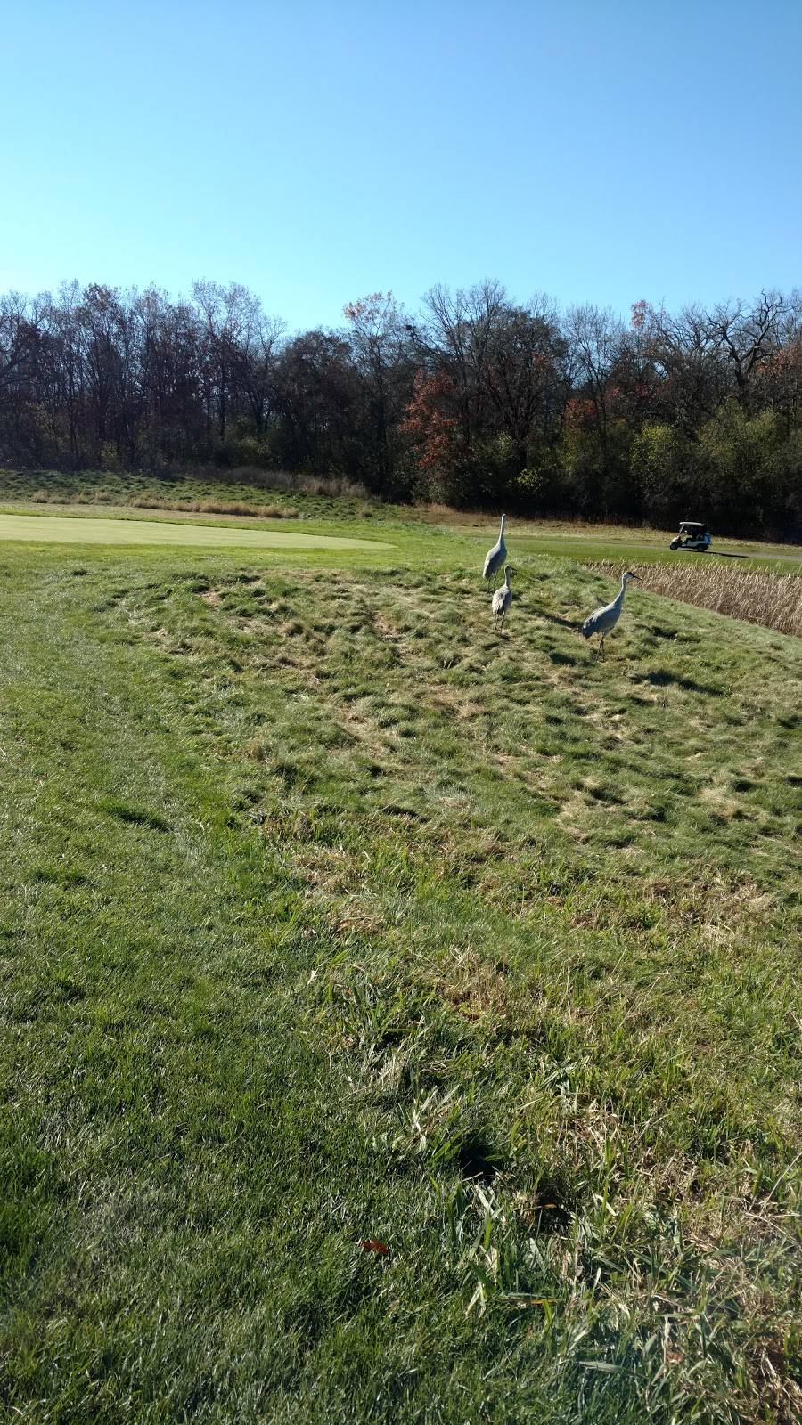 Stonewall Orchard Golf Club | restaurant | 25675 IL-60, Grayslake, IL 60030, USA | 8477404890 OR +1 847-740-4890