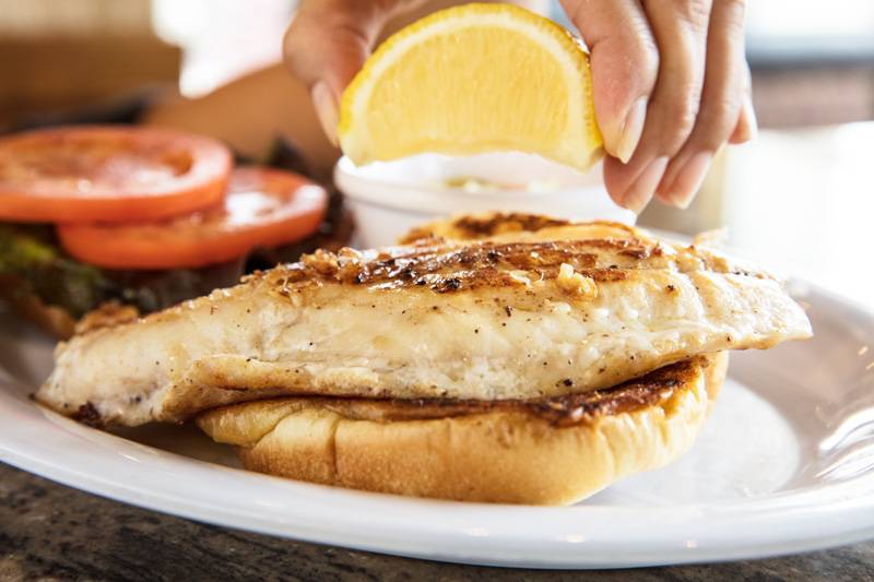 BurgerMonger | restaurant | 2454 North McMullen Booth Rd, Clearwater, FL 33759, USA | 7277264001 OR +1 727-726-4001