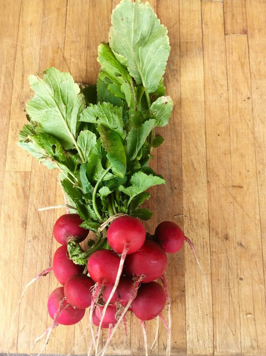 Tabula Rasa on Glade | restaurant | 2351 Glade Rd, Blacksburg, VA 24060, USA | 5408082515 OR +1 540-808-2515