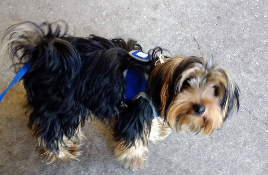 The Green Table | restaurant | 3390 Tampa Rd, Palm Harbor, FL 34684, USA | 7277891931 OR +1 727-789-1931