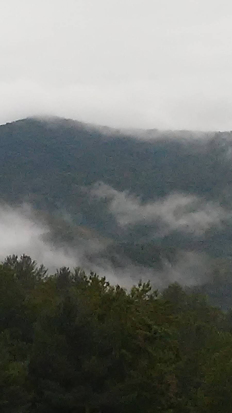 BP | restaurant | 61 Rufus Robinson Rd, Sylva, NC 28779, USA | 8285866910 OR +1 828-586-6910