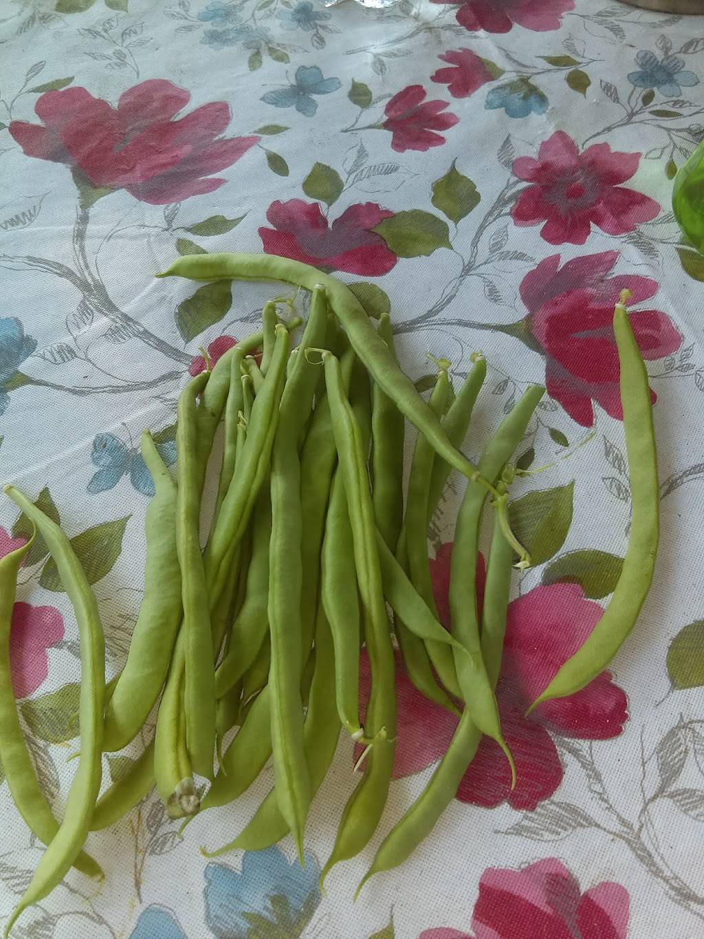 Murphys Pop Shop | restaurant | 78 Island Pond Rd, Springfield, MA 01118, USA | 4137347950 OR +1 413-734-7950