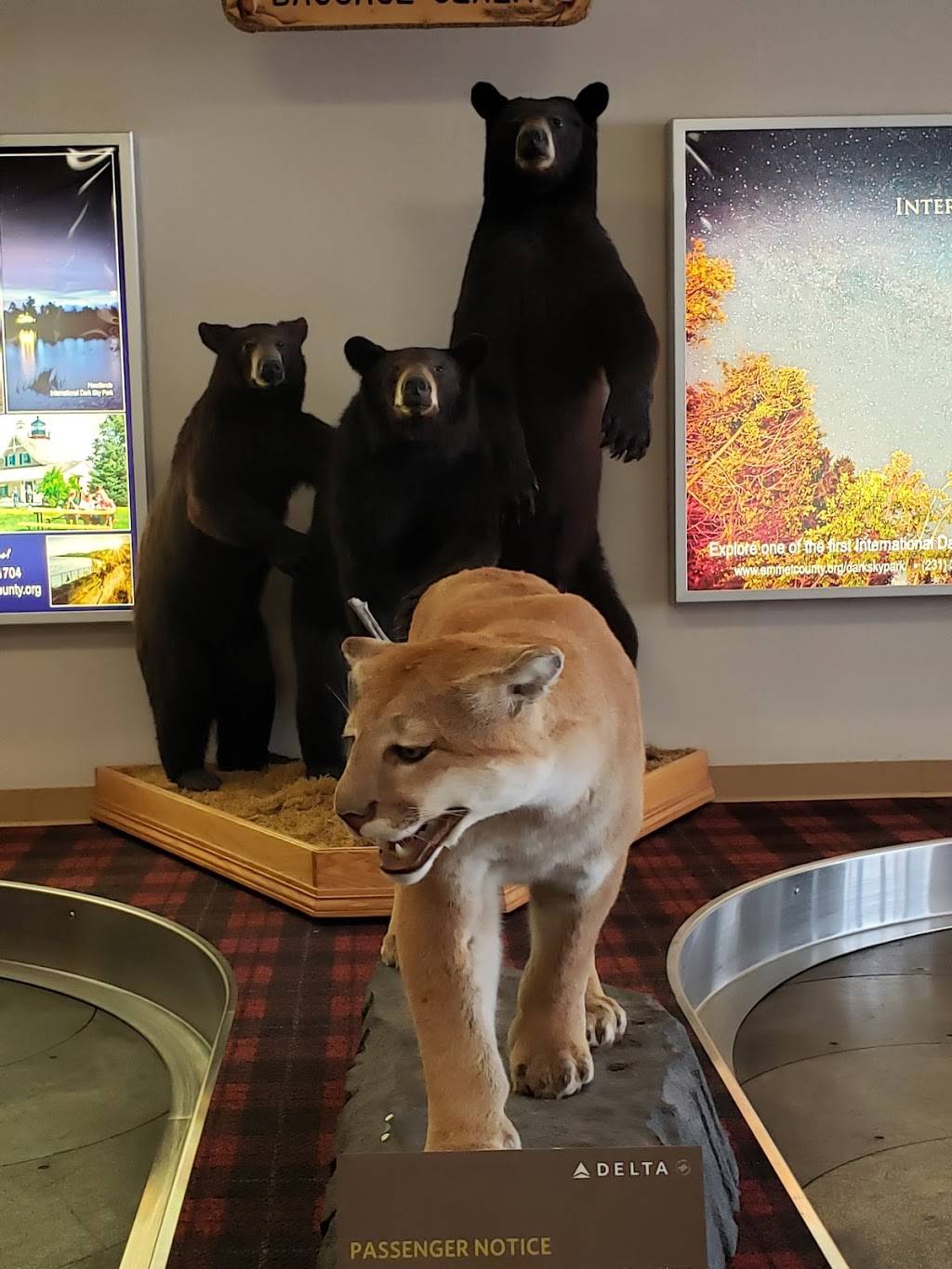 Hoppies Landing | restaurant | 1395 US-31, Pellston, MI 49769, USA | 2315398900 OR +1 231-539-8900