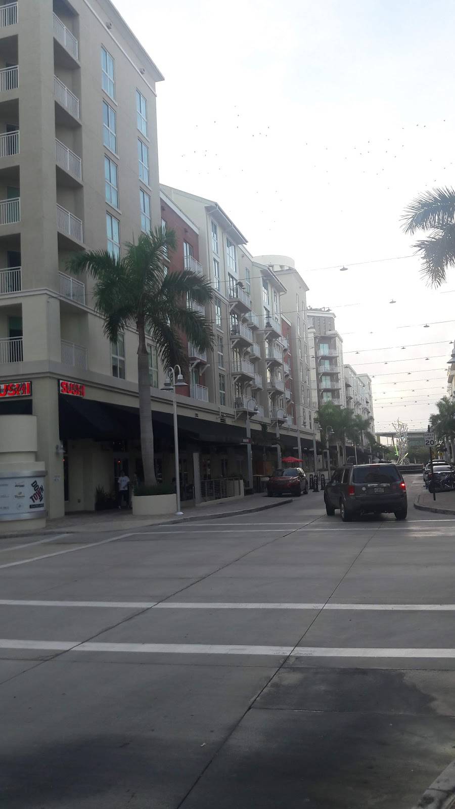 El Sitio Restaurant | restaurant | 9066 SW 73rd Pl, Miami, FL 33156, USA | 3056702228 OR +1 305-670-2228