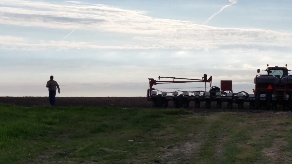 Fox Ridge Golf Course | restaurant | 355 Country Club Ln #9636, Dike, IA 50624, USA | 3199892213 OR +1 319-989-2213