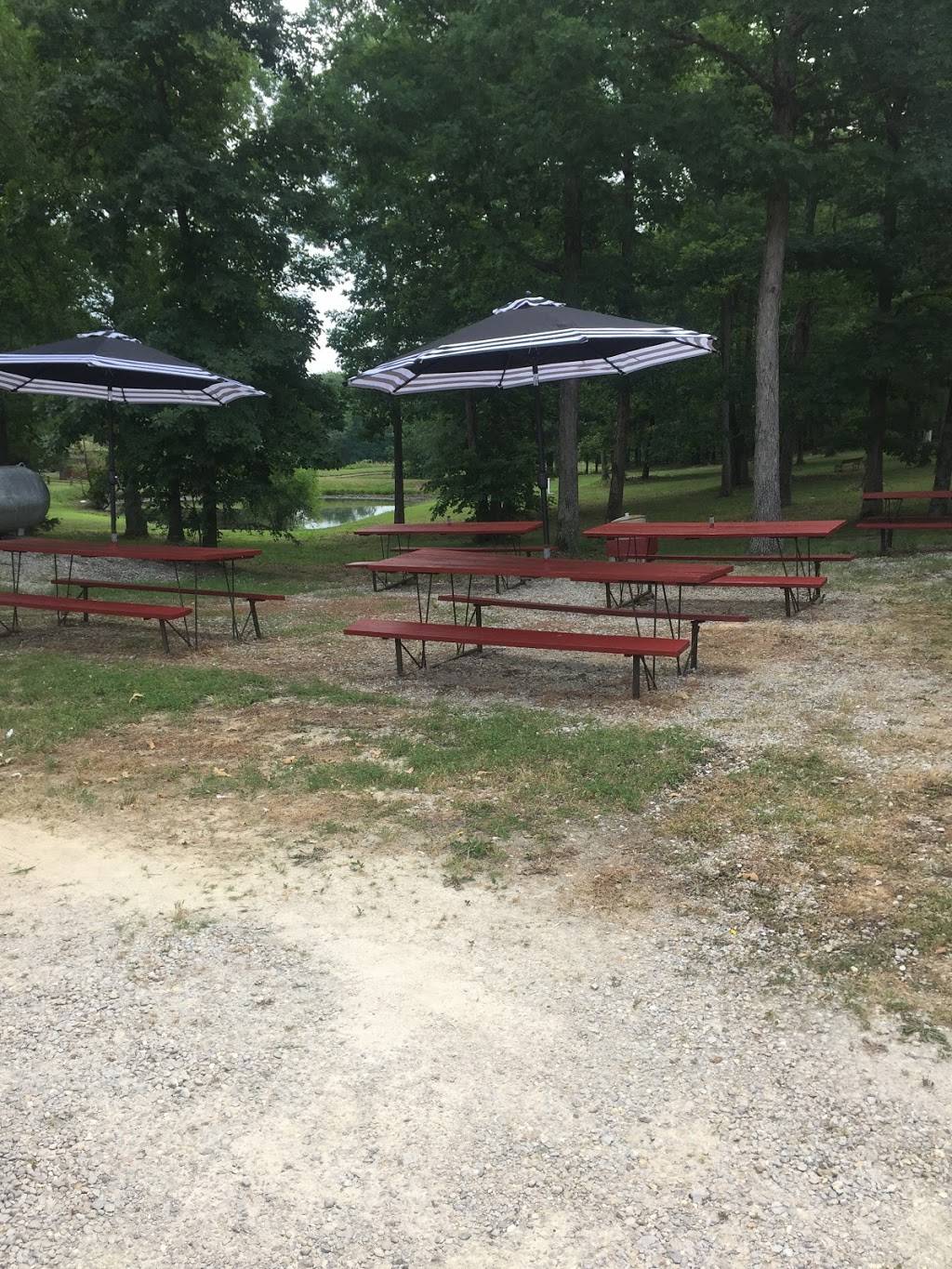 Teds Bar B Que | restaurant | 9744 Missouri T, Wappapello, MO 63966, USA | 5732228211 OR +1 573-222-8211