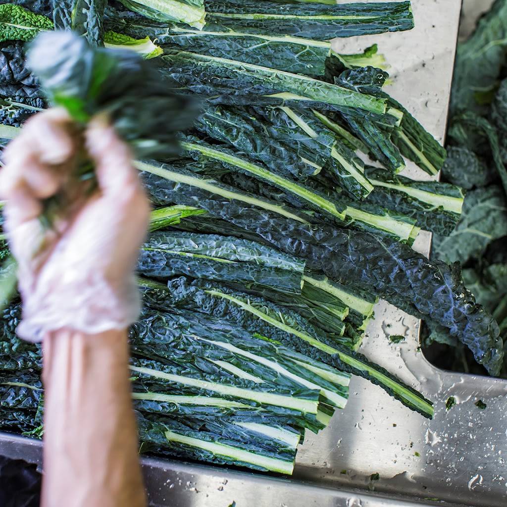 Cafe Zupas | restaurant | 1293 Wall Ave, Ogden, UT 84404, USA | 8018238500 OR +1 801-823-8500