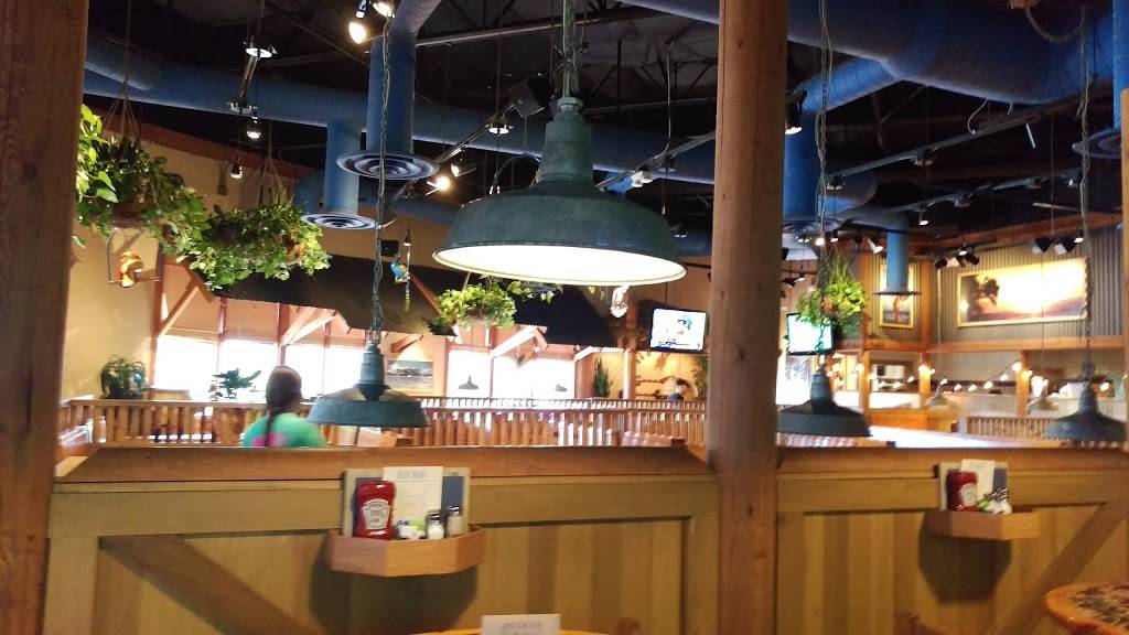 Islands Restaurant Phoenix | restaurant | 21001 N Tatum Blvd #36-1160, Phoenix, AZ 85050, USA | 4805137231 OR +1 480-513-7231