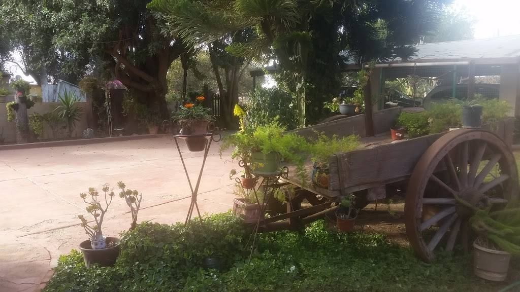 San Carlos Jardin Campestre | restaurant | Ensenada, Baja California, Mexico | 016869453461 OR +52 686 945 3461