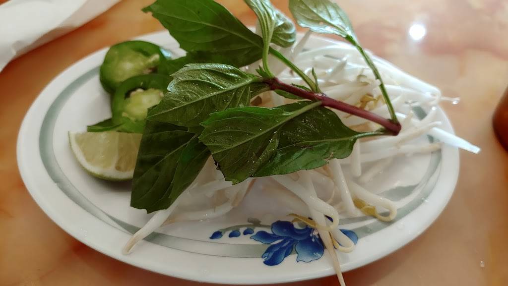 Vietopia | cafe | 1015 Port Republic Rd, Harrisonburg, VA 22801, USA | 5404380999 OR +1 540-438-0999