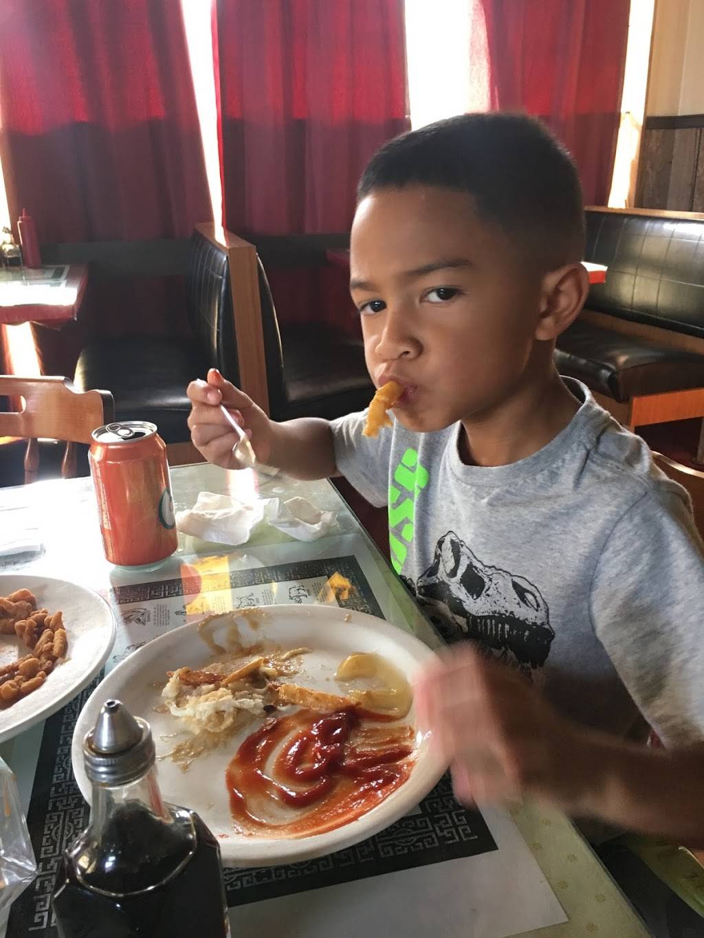 Town & Country Fish & Chips Restaurant | restaurant | 33 Elm St, Grimsby, ON L3M 3G5, Canada | 9059459797 OR +1 905-945-9797