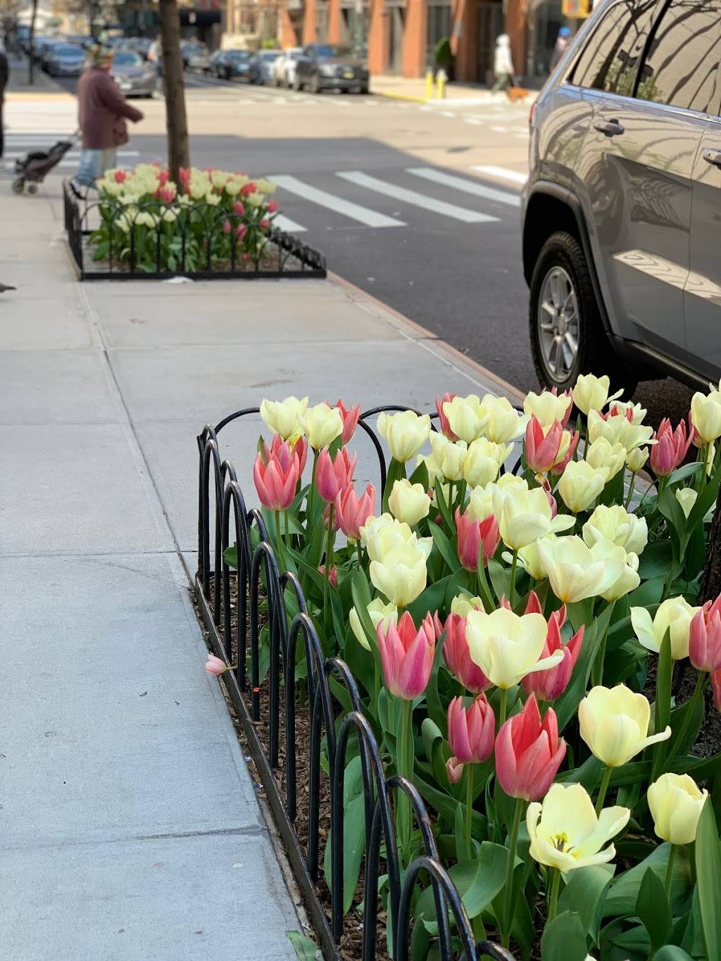 United We Stand | restaurant | 814 10th Ave # 1, New York, NY 10019, USA | 2123976035 OR +1 212-397-6035