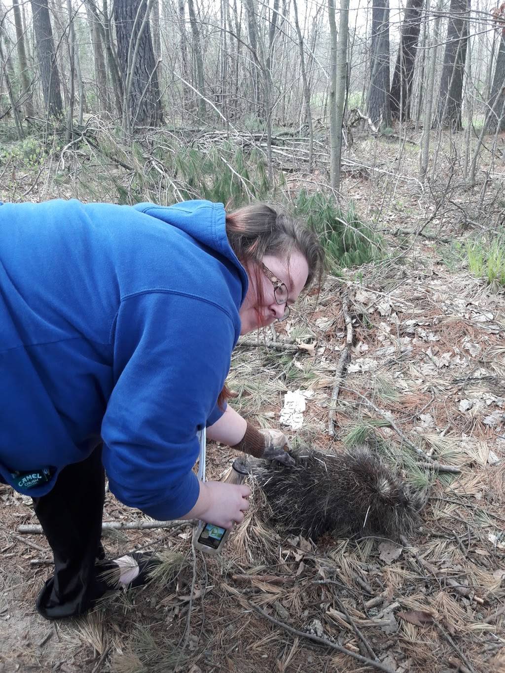 Vintage Golf Course | restaurant | 27923 McGivern Dr, Staples, MN 56479, USA | 2188949907 OR +1 218-894-9907