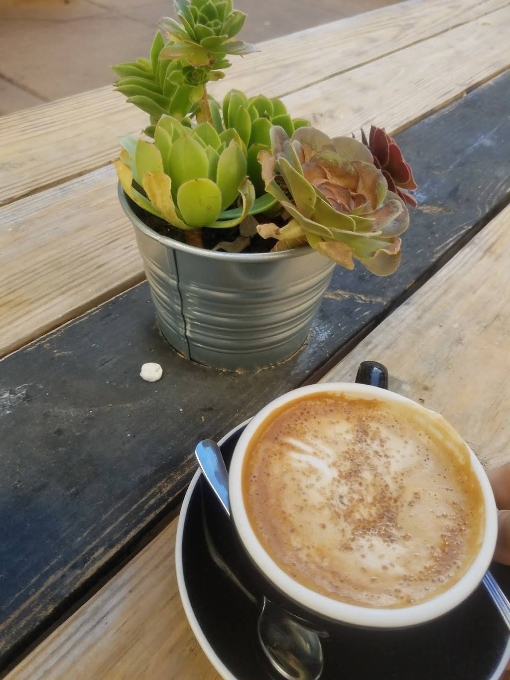 Starbucks | cafe | 316 Alvarado St, Monterey, CA 93940, USA | 8316461182 OR +1 831-646-1182