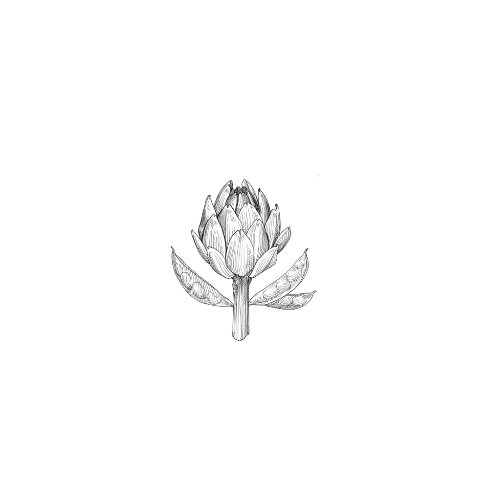 Harvey and Thistle | restaurant | 742 Orchard St, Santa Rosa, CA 95404, USA | 8025986235 OR +1 802-598-6235