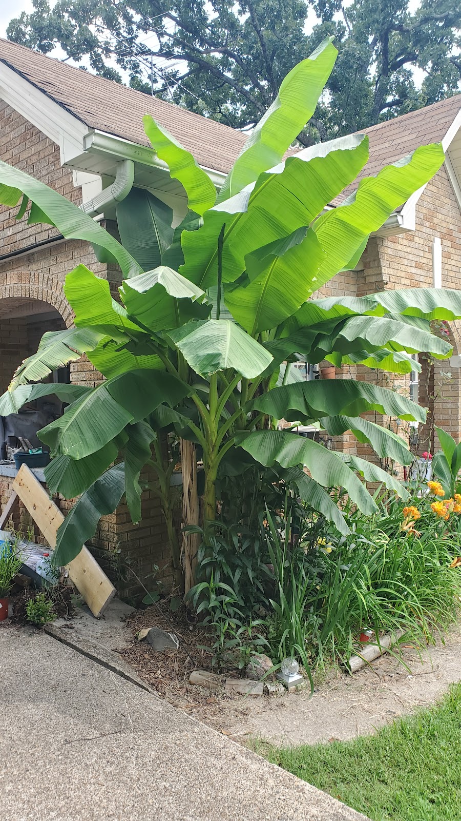 Taco Mama - Side Town | restaurant | 510 Ouachita Ave, Hot Springs, AR 71901, USA | 5017813102 OR +1 501-781-3102